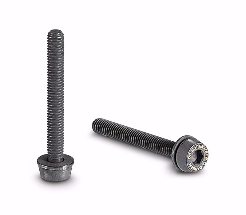 Campagnolo 2 x 24mm screws for 15-19 mm rear mount thickness
