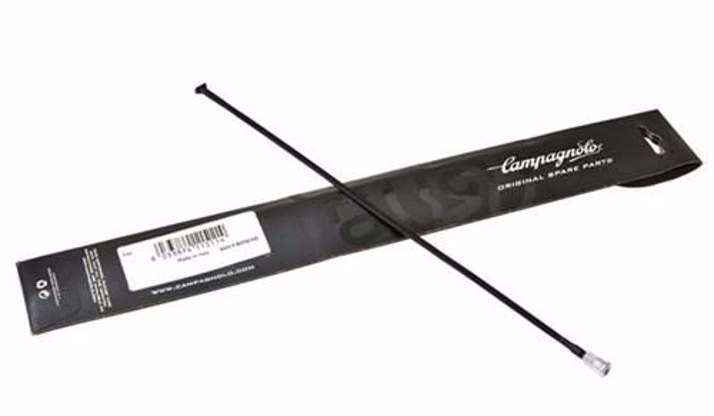 Campagnolo CAMPAGNOLO R. achterwiel spaak (282.7mm) + nip. - SHA & EUR
